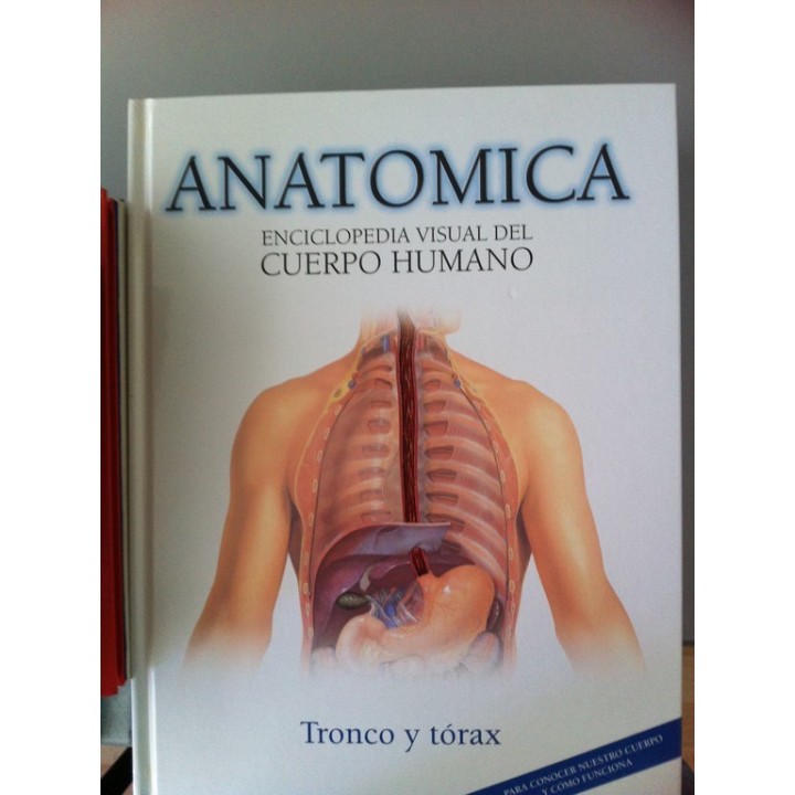 ANATOMICA. ENCICLOPEDIA VISUAL DEL CUERPO HUMANO, VOLUMEN 6: Tronco y tórax.